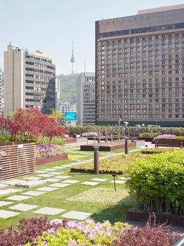 The roof garden of Seoul?s City Hall, which is an eco-friendly building