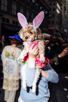 A woman holds up a dog in costume at the annual Easter Parade and Bonnet Festival in New York City.
