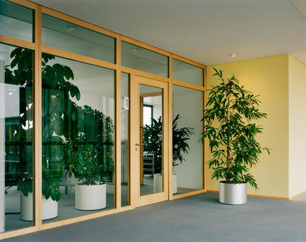 Plants outside office building lobby
