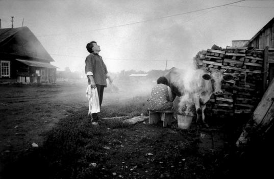 Krasny Yar Siberia, Russia 1995 Krasny Yar is a village which can only be accessed by water and is only inhabited by the indigenous Udege people. This couple milks a cow under the smoke of a fire to avoid the massive bug culture that exists there.