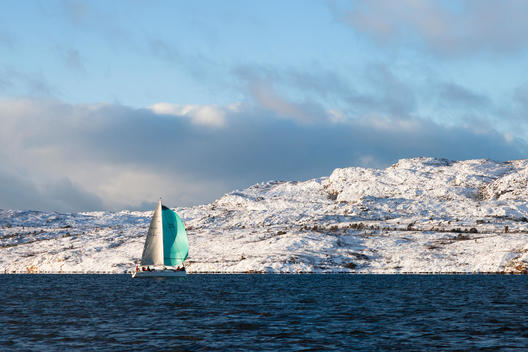 Yacht sailing in a race in the Bergen fjord, Norway, during winter, with spinnaker in action.