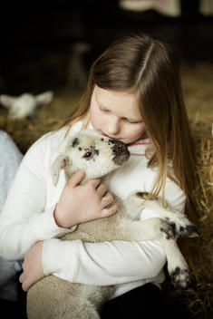 A girl holding a small new-born lamb.