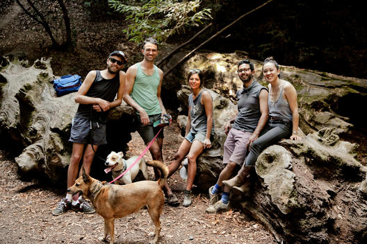 a group of friends and a dog sitting amongst the redwoods