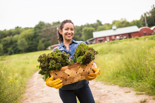 Working on an organic farm. A woman holding a basket full of fresh green vegetables, freshly picked.
