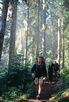 Three backpackers in the deep forest of the Northern Cascades