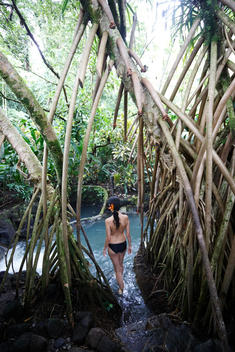 Tabacon Springs, relaxation, spa, natural springs, Central America