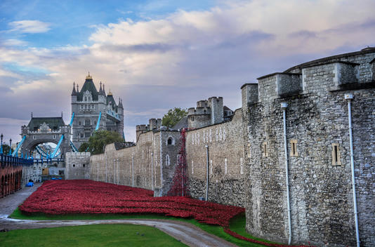 Tower Bridge crosses over and joins the Tower of London. A waterfall of ceramic poppies pours out over the walls in memorial of 100 years since World War I. The art installation is called Blood Swept Lands and Seas of Red.