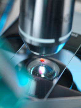 A light microscope examining a sample in lab for pharmaceutical research
