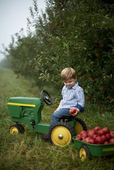 Boy On Toy Tractor