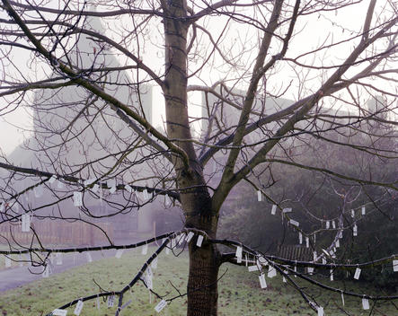 Messages and prayers for written on paper and tied to branches of a tree outside the village church in Otley, Kent.