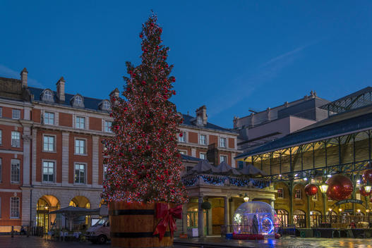 Giant Christmas tree in Covent Garden