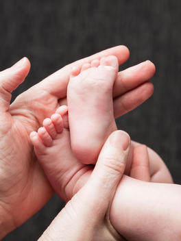 Mothers hands holding a 2 week old baby boys feet.