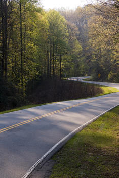 Curving Road In Early Spring In South Carolina