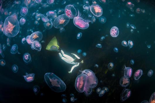 Freediver mermaid with moon jellyfish
