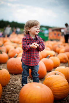 A photo of a little boy standing in a pumpkin patch