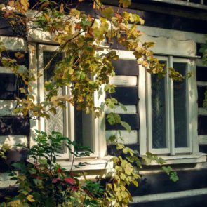 Timbered House Window