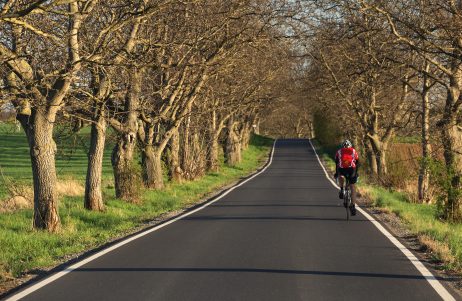FREE IMAGE: Cyclist on the road | Libreshot Public Domain Photos
