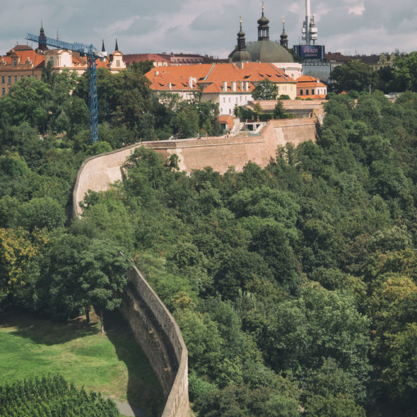 Green Prague – City Forest