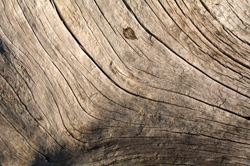 Wood Texture Lines