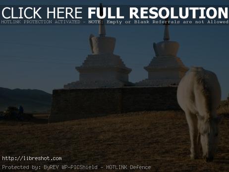 White Horse Buddha