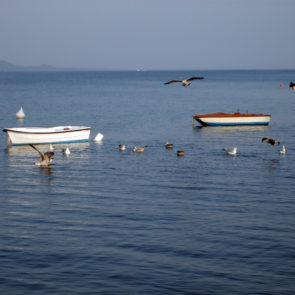 Rowboats in Croatia
