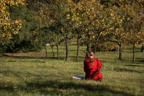 Free image of Young woman in the park