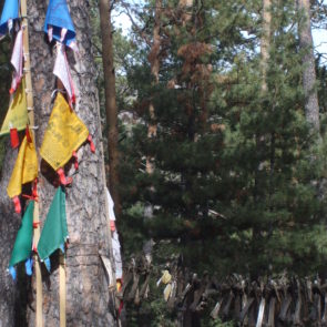 Shamanic tree in Mongolia