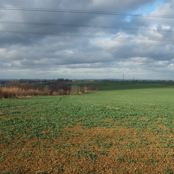 Field in Czech republic
