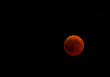 FREE IMAGE: Blood Moon - Total Lunar Eclipse | Libreshot Public Domain Photos