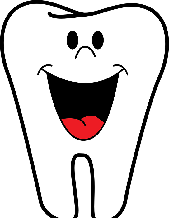 dentist, teeth, tooth