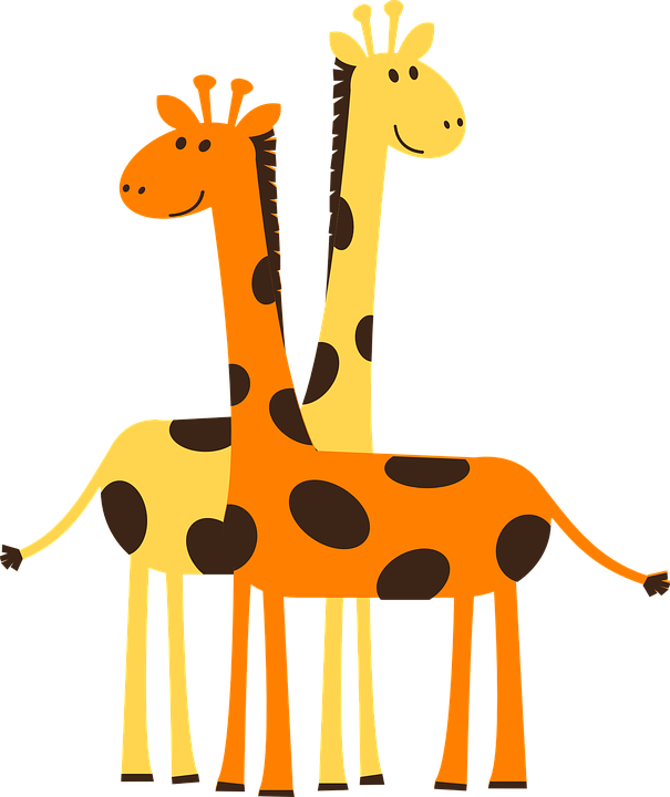 giraffe, africa, safari