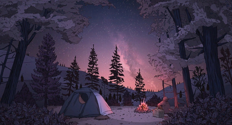 camping, night, winter