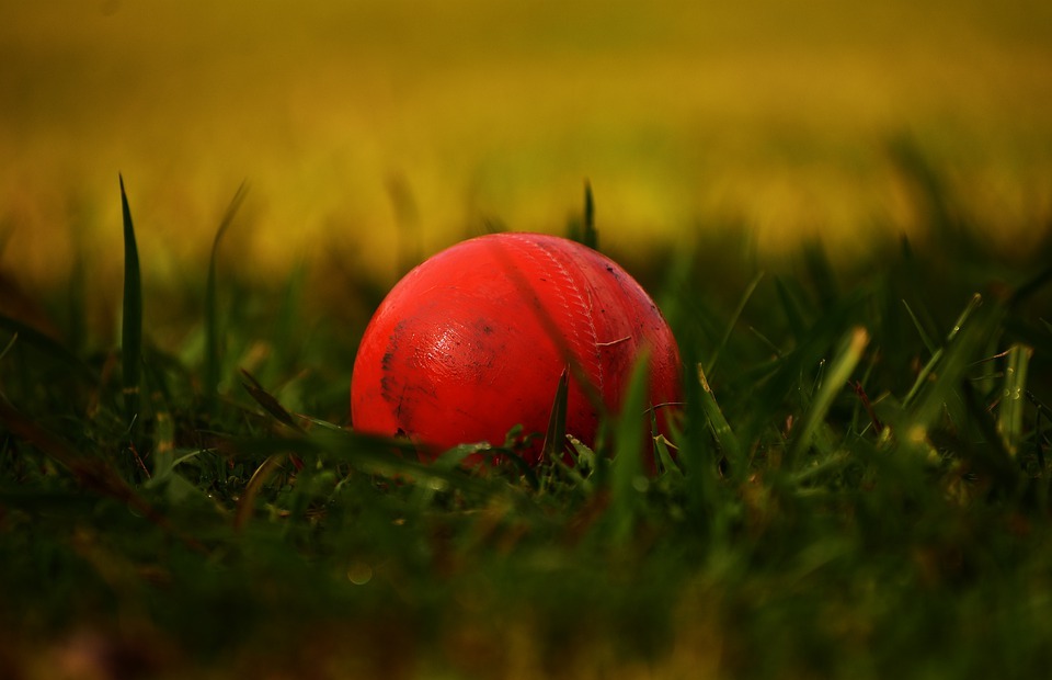 ball, cricket, sports