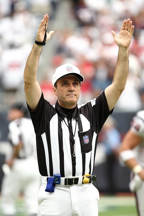 referee, professional football, touchdown