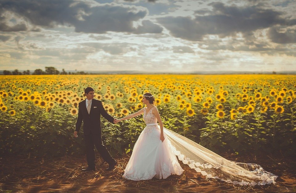 bride, couple, field