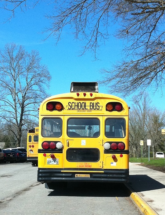 school, school bus, bus
