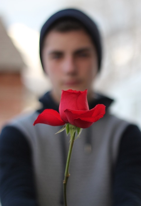 rose, love, valentine
