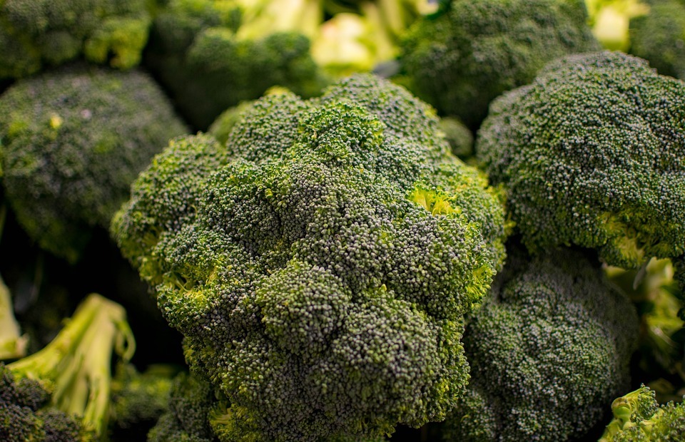 broccoli, vegetable, nature