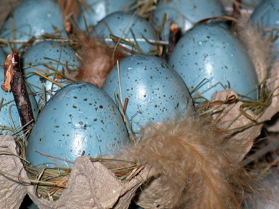 easter eggs, easter nest, easter