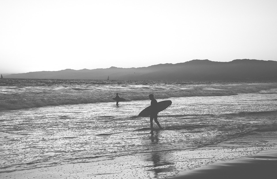 surfing, beach, surfboard
