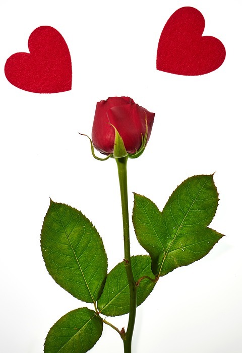 valentine's day, love, romance