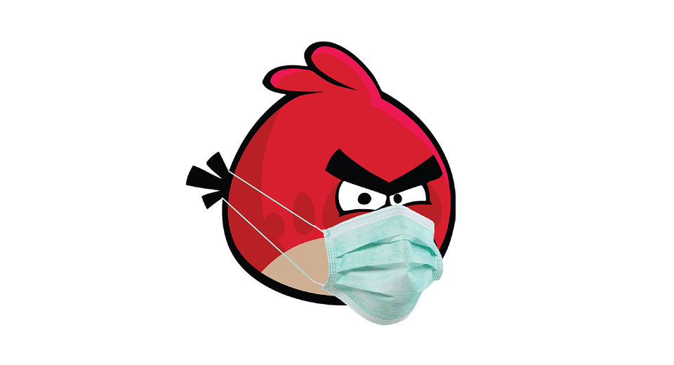 angry bird, surgical mask, coronavirus