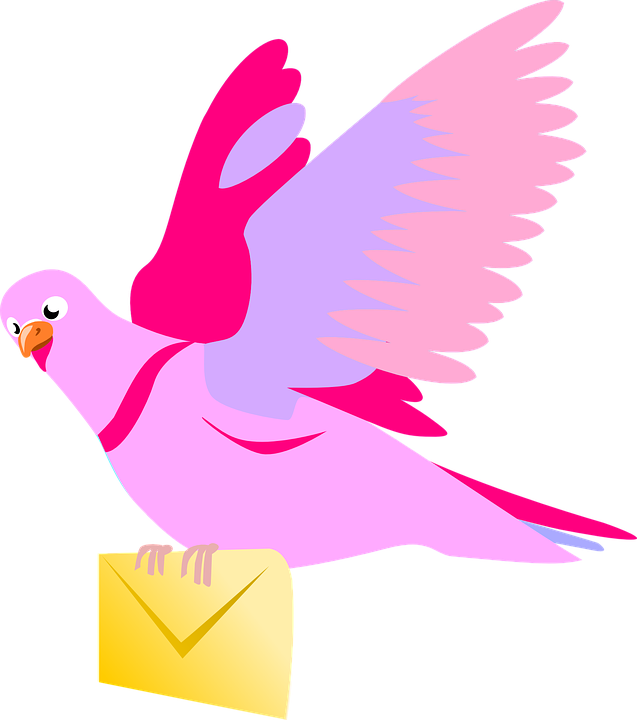 Carrier Pigeon Letter Pink Stock Images Page Everypixel