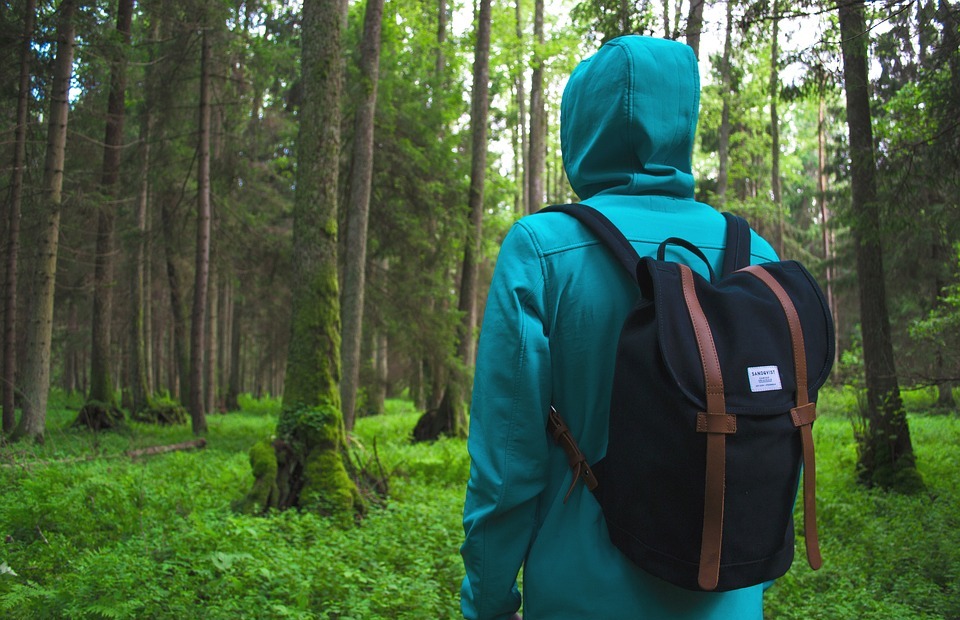 adventure, backpack, forest