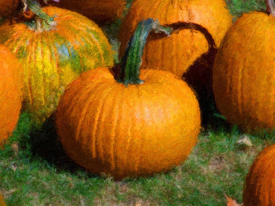 pumpkins, painting, thanksgiving
