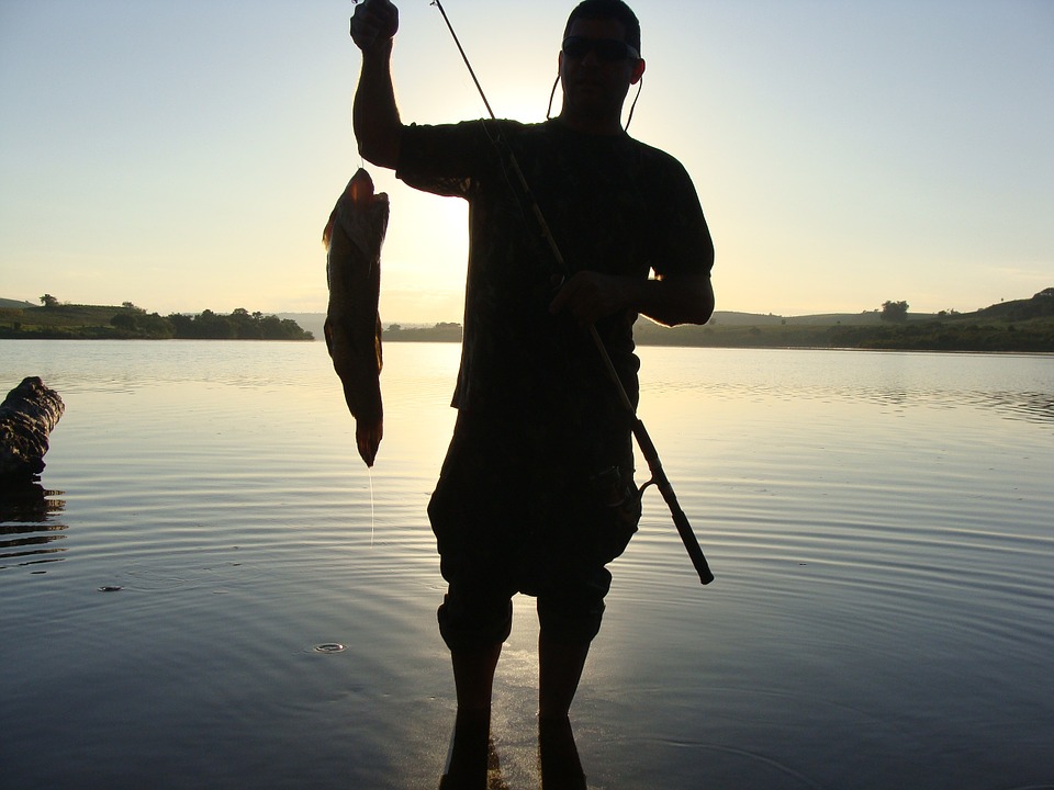 fisherman, silhouette, fish