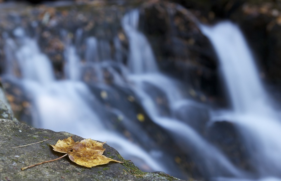 leaf, waterfall, autumn