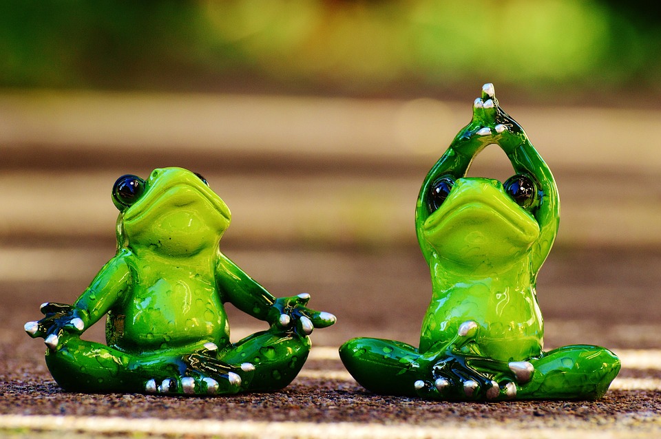 frogs, fig, yoga