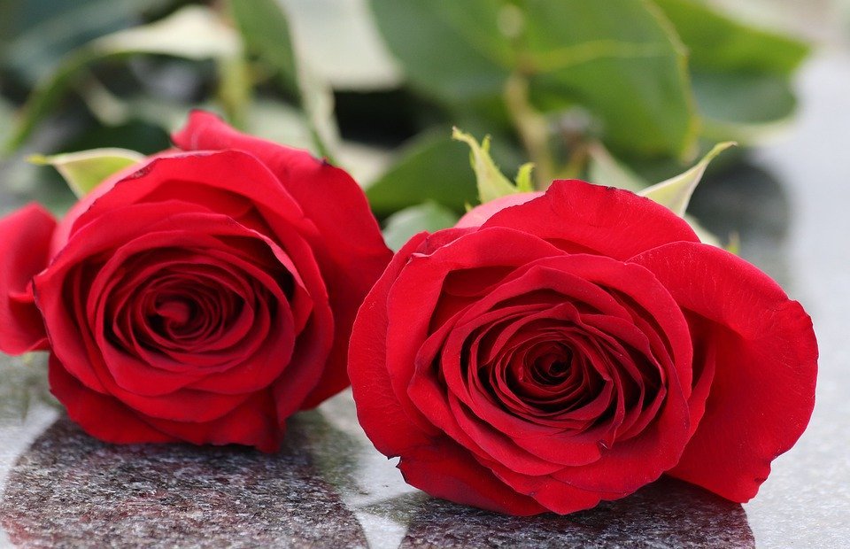 two red roses, grey marble, loving memory