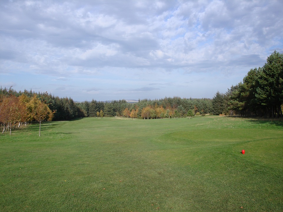 golf, golfcourse, course